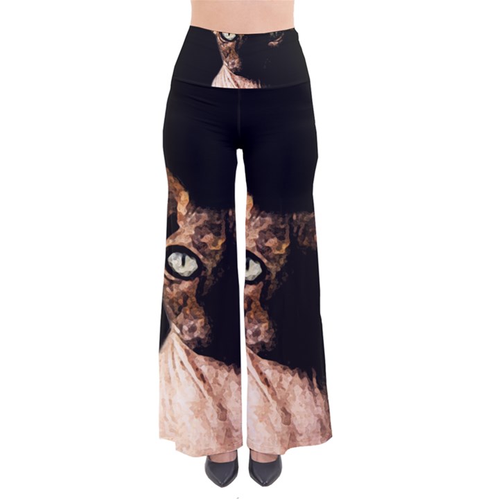 Sphynx cat Pants