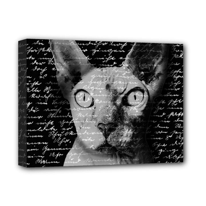 Sphynx cat Deluxe Canvas 16  x 12  