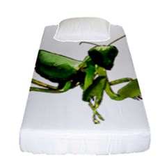Mantis Fitted Sheet (single Size) by Valentinaart