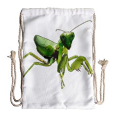 Mantis Drawstring Bag (large) by Valentinaart