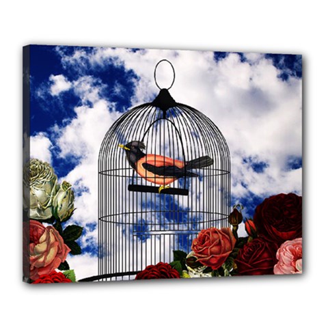 Vintage Bird In The Cage  Canvas 20  X 16  by Valentinaart