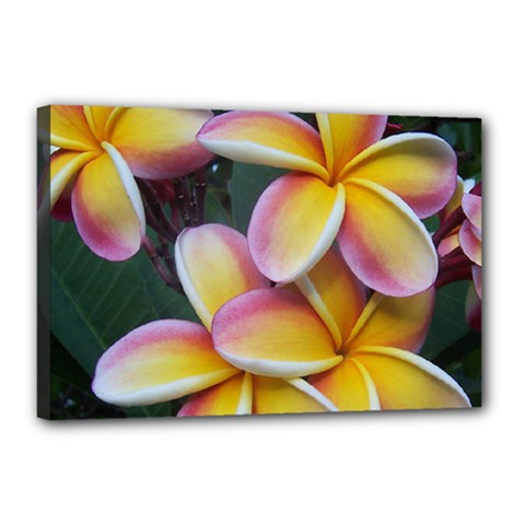 Premier Mix Flower Canvas 18  x 12 