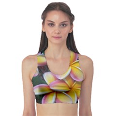 Premier Mix Flower Sports Bra