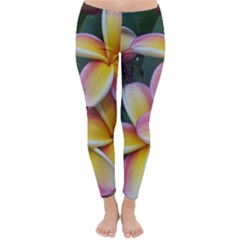 Premier Mix Flower Classic Winter Leggings