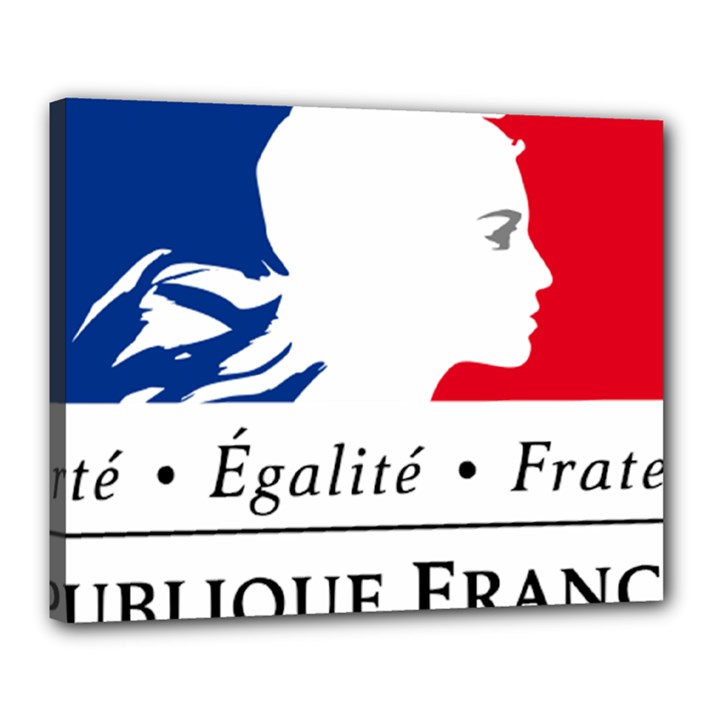 Symbol of the French Government Canvas 20  x 16 