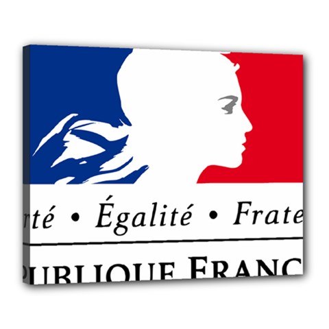 Symbol Of The French Government Canvas 20  X 16  by abbeyz71