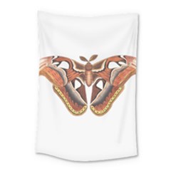 Butterfly Animal Insect Isolated Small Tapestry by Simbadda