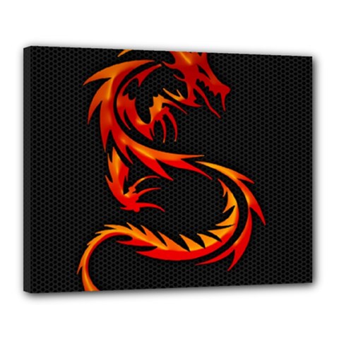 Dragon Canvas 20  X 16 