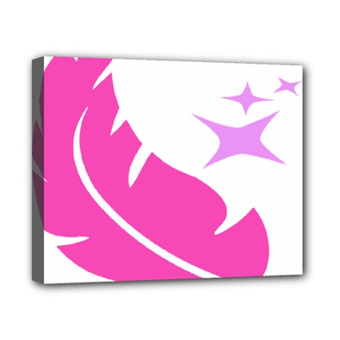 Bird Feathers Star Pink Canvas 10  X 8  by Alisyart