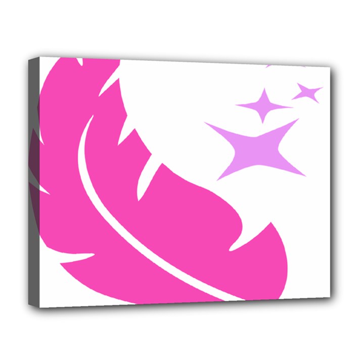 Bird Feathers Star Pink Canvas 14  x 11 