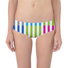 Color Bars Rainbow Green Blue Grey Red Pink Orange Yellow White Line Vertical Classic Bikini Bottoms by Alisyart