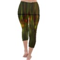 Fractal Rain Capri Winter Leggings  View4