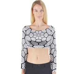 Grillage Long Sleeve Crop Top by Simbadda