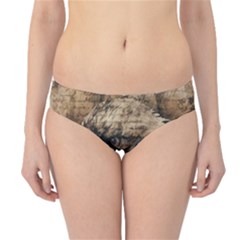 Vintage Eagle  Hipster Bikini Bottoms by Valentinaart