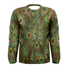 Peacock Feathers Green Background Men s Long Sleeve Tee by Simbadda
