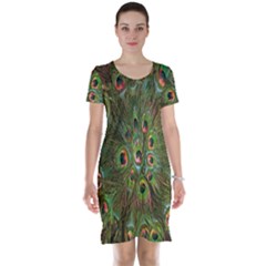 Peacock Feathers Green Background Short Sleeve Nightdress by Simbadda