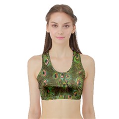 Peacock Feathers Green Background Sports Bra With Border by Simbadda