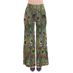 Peacock Feathers Green Background Pants by Simbadda