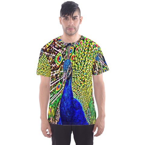 Graphic Painting Of A Peacock Men s Sport Mesh Tee by Simbadda