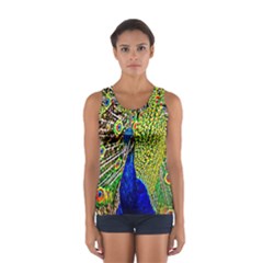 Graphic Painting Of A Peacock Women s Sport Tank Top  by Simbadda
