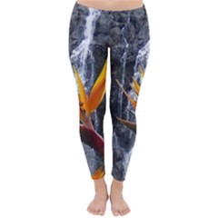 Bird Of Paradise Classic Winter Leggings by northshoreH