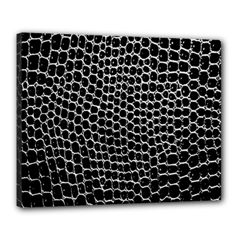 Black White Crocodile Background Canvas 20  X 16  by Amaryn4rt