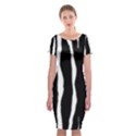 Zebra Background Pattern Classic Short Sleeve Midi Dress View1