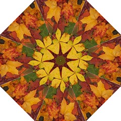 Colorful Autumn Leaves Leaf Background Folding Umbrellas by Amaryn4rt