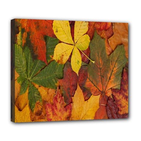 Colorful Autumn Leaves Leaf Background Deluxe Canvas 24  X 20   by Amaryn4rt