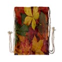 Colorful Autumn Leaves Leaf Background Drawstring Bag (Small) View1