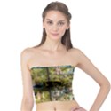 Hieronymus Bosch Garden Of Earthly Delights Tube Top View1