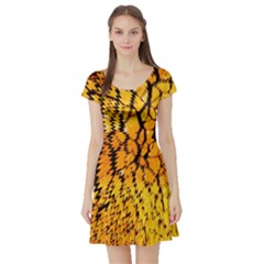 Yellow Chevron Zigzag Pattern Short Sleeve Skater Dress