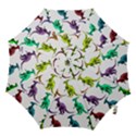 Multicolor Dinosaur Background Hook Handle Umbrellas (Medium) View1