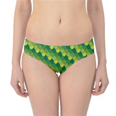 Dragon Scale Scales Pattern Hipster Bikini Bottoms by Amaryn4rt