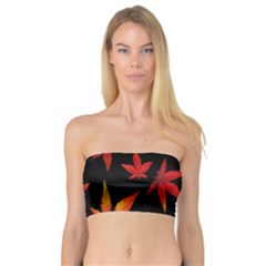 Colorful Autumn Leaves On Black Background Bandeau Top by Amaryn4rt