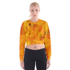 Bright Yellow Autumn Leaves Women s Cropped Sweatshirt by Amaryn4rt