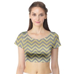 Abstract Vintage Lines Short Sleeve Crop Top (Tight Fit)