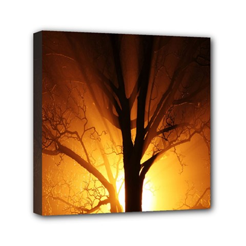 Rays Of Light Tree In Fog At Night Mini Canvas 6  x 6 