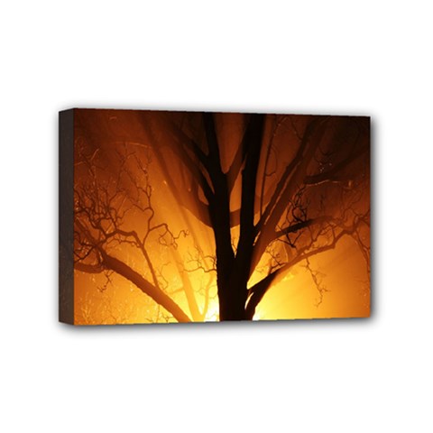Rays Of Light Tree In Fog At Night Mini Canvas 6  x 4 