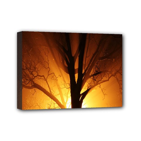 Rays Of Light Tree In Fog At Night Mini Canvas 7  x 5 