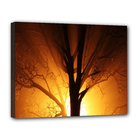 Rays Of Light Tree In Fog At Night Canvas 14  x 11 