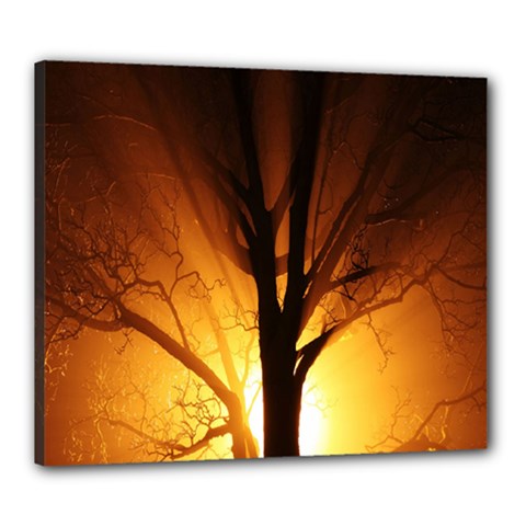 Rays Of Light Tree In Fog At Night Canvas 24  x 20 