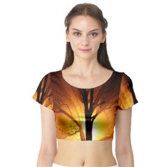 Rays Of Light Tree In Fog At Night Short Sleeve Crop Top (Tight Fit)