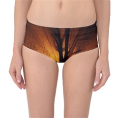 Rays Of Light Tree In Fog At Night Mid-Waist Bikini Bottoms