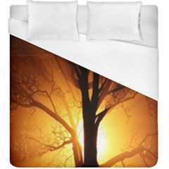 Rays Of Light Tree In Fog At Night Duvet Cover (King Size)