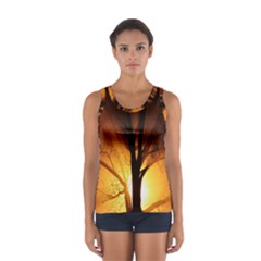 Rays Of Light Tree In Fog At Night Women s Sport Tank Top 