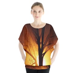Rays Of Light Tree In Fog At Night Blouse
