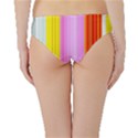 Multi Colored Bright Stripes Striped Background Wallpaper Hipster Bikini Bottoms View2