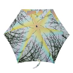 Rainbow Sky Spectrum Rainbow Colors Mini Folding Umbrellas