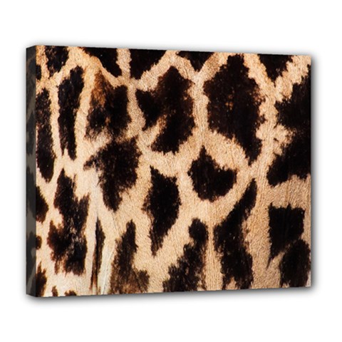 Yellow And Brown Spots On Giraffe Skin Texture Deluxe Canvas 24  X 20   by Amaryn4rt